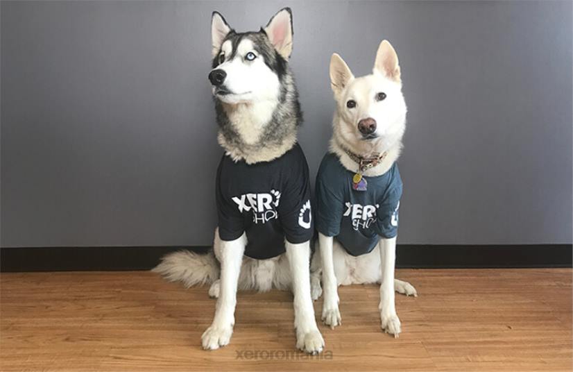 8284249Xero Shoes tricouri xero