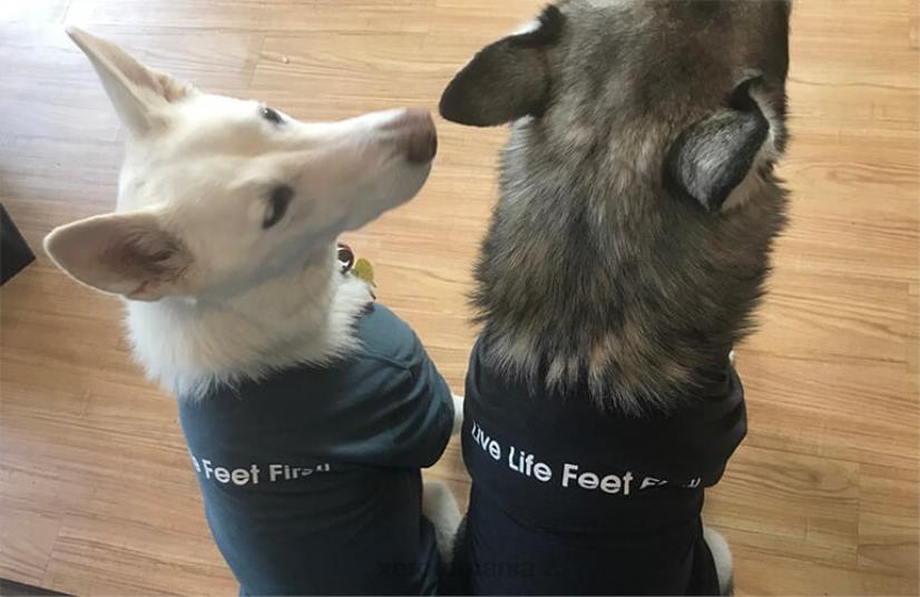 8284249Xero Shoes tricouri xero